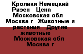 Кролики Немецкий Ризен › Цена ­ 350 - Московская обл., Москва г. Животные и растения » Другие животные   . Московская обл.,Москва г.